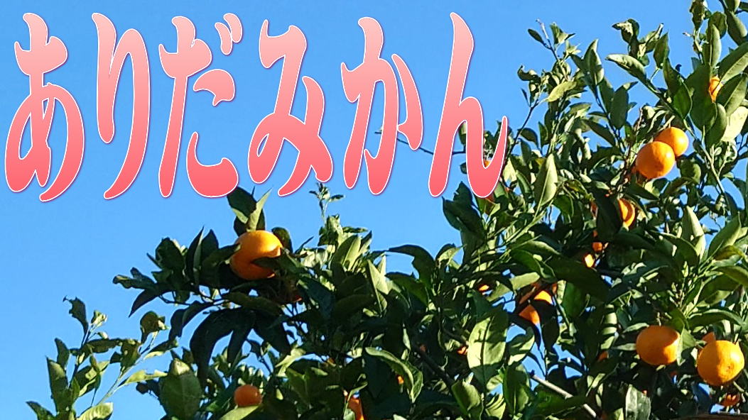 ありだみかん